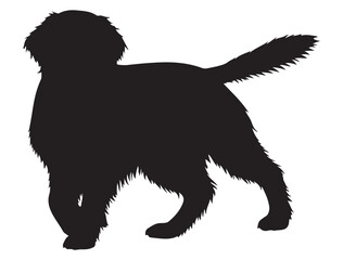  ENGLISH SPRINGER DOG SILHOUETTE