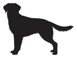  ENGLISH SPRINGER DOG SILHOUETTE