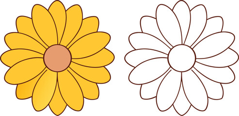 Yellow Daisy Flower and Outline with Brown Center on White Background vector illustration