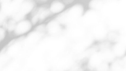 Shadow of leaves tree plant overlay on white wall. Sunlight effect shadow on the wall. Minimal blurred backdrop backgrounds. Summer tropical surface background.