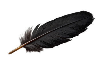 Black feather isolated on a transparent background in PNG format.