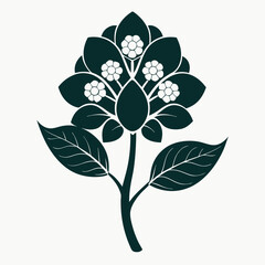  indian cork tree vector illustration  silhouette flower-line-art--on-white background 