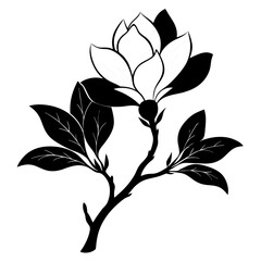 saucer magnolia silhouette vector illustration on white background