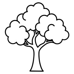  yoshino cherry line art  vector on white background