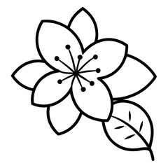  cherry blossom line art on white-background 