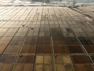 aerial view salt fields in fujian during sunet