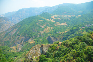 Green forest landscape. Beautiful view