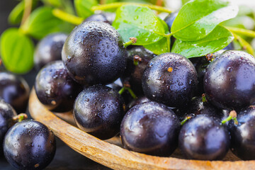 Exotic and delicious Jaboticaba fruits, a fruit of Amazonian origin