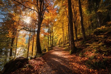 Fototapeta premium Golden Autumn Path Through Sunlit Forest