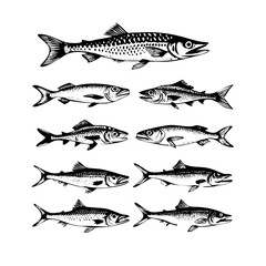 This black and white illustration showcases a diverse selection of fish species, rendered in a vintage style fish vector art design