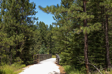 North Oreville Bridge #40 on the George S. Mickelson trail, South Dakota