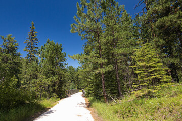 North Oreville Bridge #40 on the George S. Mickelson trail, South Dakota
