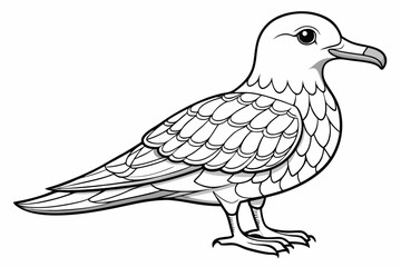 coloring page line art the petrel black vector
