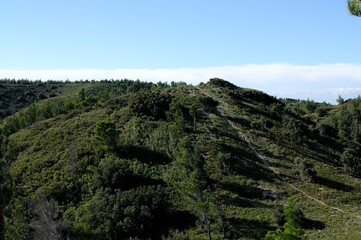 Obraz premium Landscape of mountain