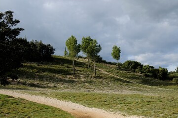 Landscape of mountain