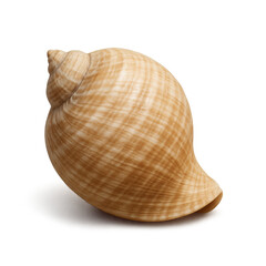 Fig shell resting on transparent background, casting a subtle shadow