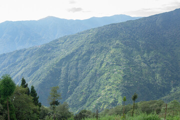 Scenic beauty of Green forests of Himalayan mountains, Okhrey, sikkim, India. Okhrey village is...
