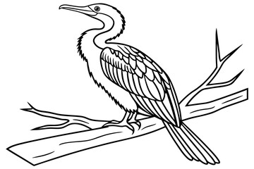 coloring page line art the anhinga black vector