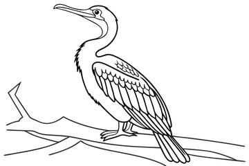 coloring page line art the anhinga black vector