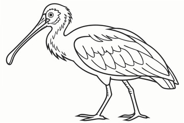 coloring page line art the spoonbill bird black vector