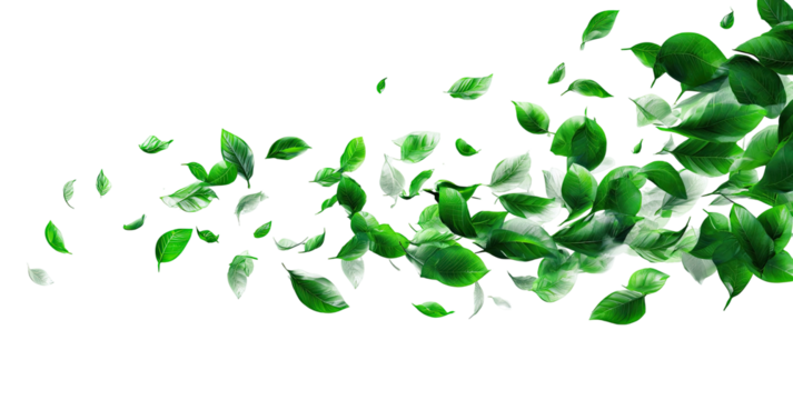Abstract graphic of many green and white leaves, dispersed in a dynamic, flowing motion against a black background