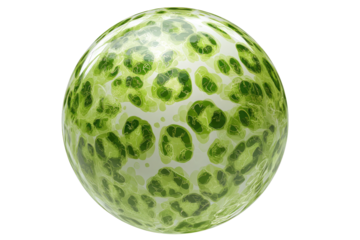 A glossy, round sphere, brightly lit, displays a pattern of  green leopard-like spots on a pale background