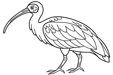 coloring page line art the ibis black vector