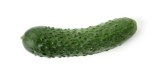 One fresh green cucumber isolated on white