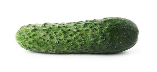 One fresh green cucumber isolated on white