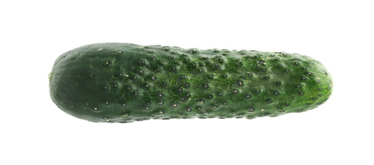 One fresh green cucumber isolated on white