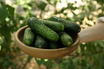 Woman with bowl of fresh cucumbers against blurred green background, closeup
