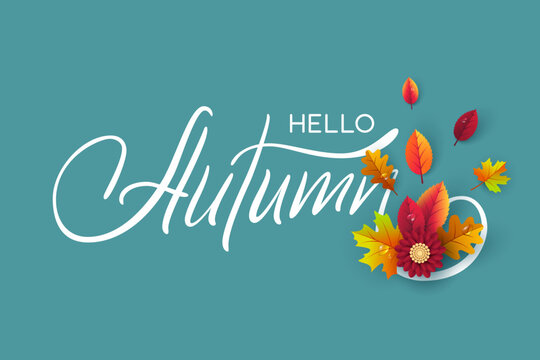 Elegant calligraphy text Hello Autumn with colorful fall leaves and flowers on teal background. Seasonal greetings poster, banner or decorative design. Vector illustration.
