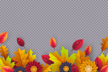 Colorful autumn leaves and flowers on transparent background. Festive seasonal border for fall themes, Thanksgiving promotions or nature design. Vector illustration.