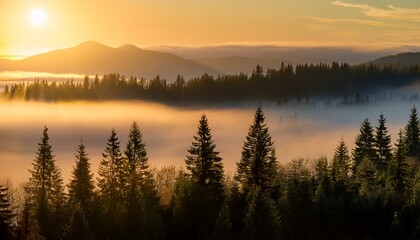 Fototapeta premium misty scenery shows a fir forest foggy mountains with trees are seen at sunrise