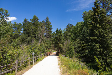 Blue Spruce Bridge #41 on the George S. Mickelson Trail, South Dakota