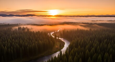 Aerial view of a meandering river carving through the green forest
