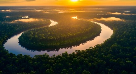 Aerial view of a meandering river carving through the green forest