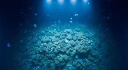 Overhead view of a coral reef pattern visible