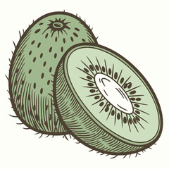 Engraved Style Illustration of a Whole and Halved Kiwi Fruit