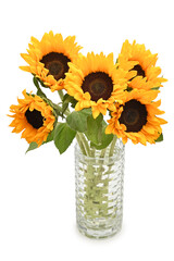 Bouquet of yellow sunflowers in glass vase