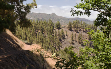 Gran Canaria, landscape of the central montainous part of the island, hiking route between Cruz de Tejeda and San Mateo