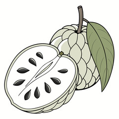 Illustration of a Sugar Apple with a Cut Half Showing Seeds