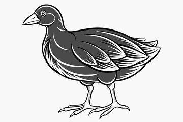 coloring page line art the gallinule black vector