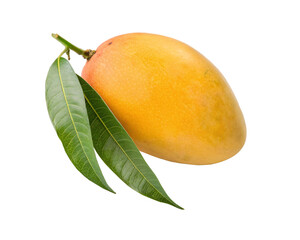 Whole Ripe Juicy Mango – PNG Isolated on Transparent Background