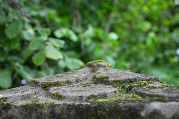 A close-up of a stone structure fragment covered in green moss. The background is blurred leaves, emphasizing natural growth and aging.