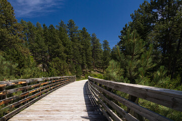 North Blue Spruce Bridge #42 on the George S. Mickelson Trail, South Dakota