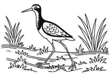 coloring page line art the jacana black vector