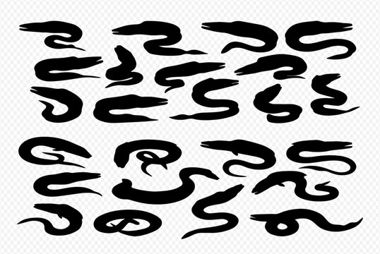 A collection of black, brush-stroke style silhouettes of eels or sea snakes in various serpentine poses.