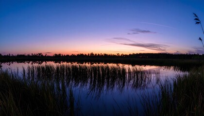 Obraz premium Twilight Over Wetland with Water Reflection