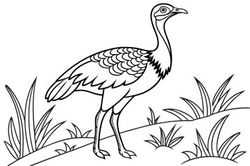 coloring page line art the bustard black vector
